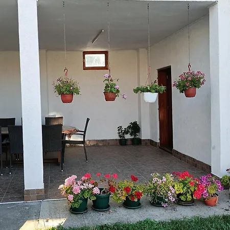 Privatna Soba Marijana-olja סורצ'ין